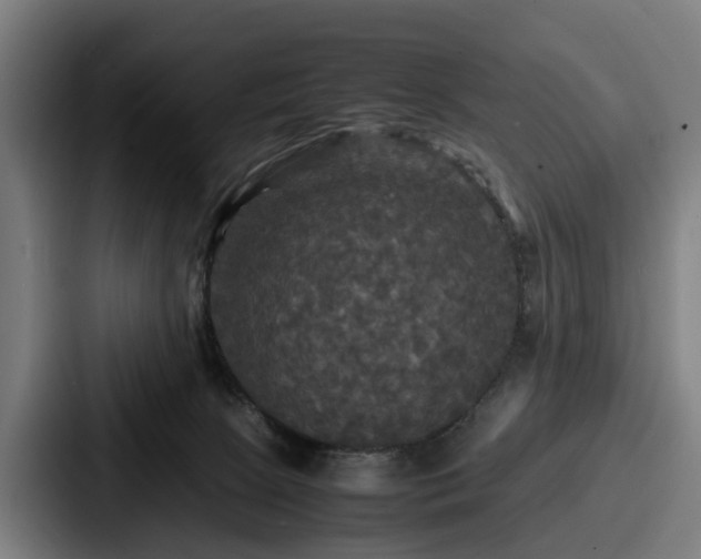 X0000087710081200705111429
