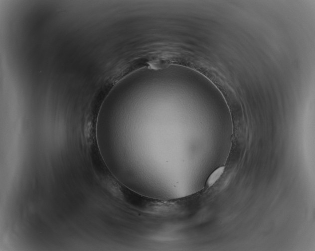 X0000087710087200705111429