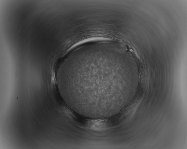 X0000087710089200705111429