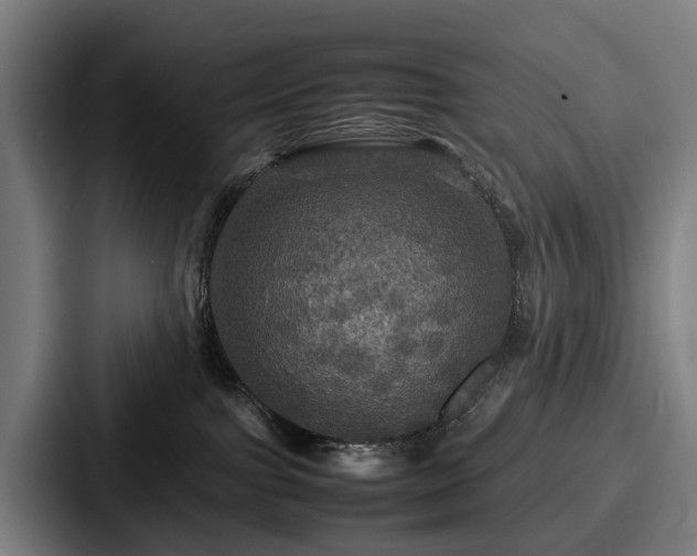X0000087710091200705111429