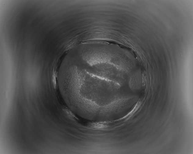 X0000087710094200705111429