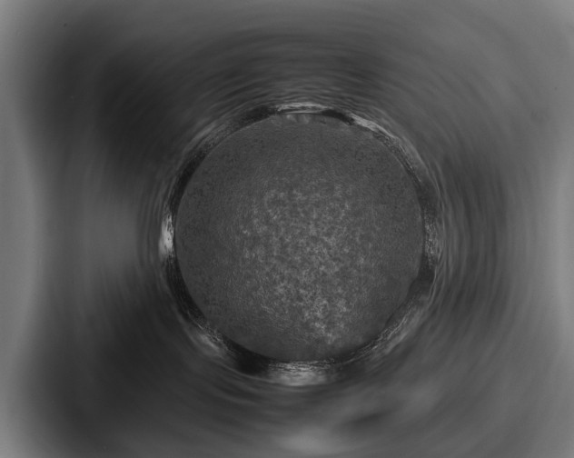 X0000087710095200705111429
