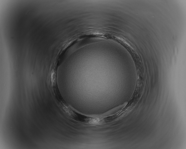 X0000087710096200705111429