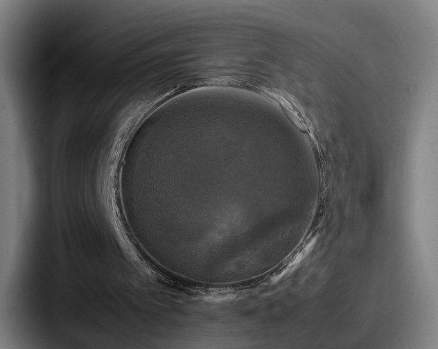 X0000087710097200705111428