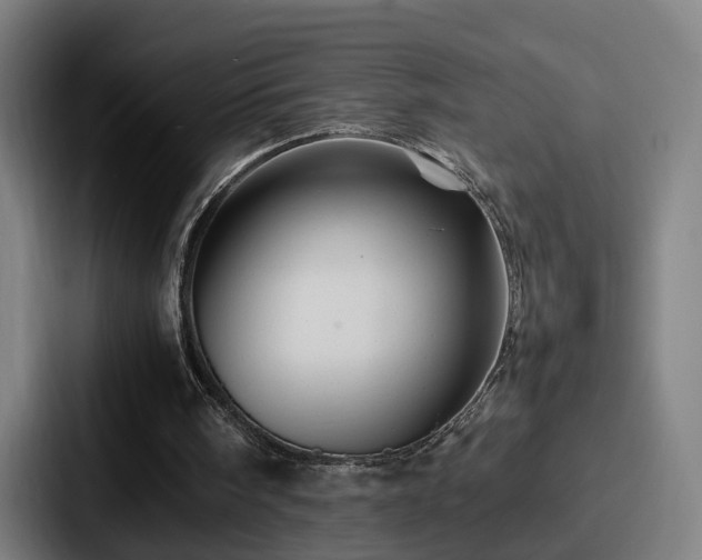 X0000087710098200705111428