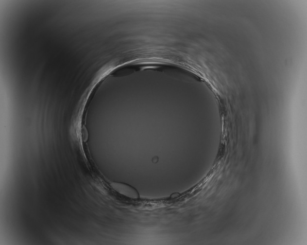 X0000087710099200705111428