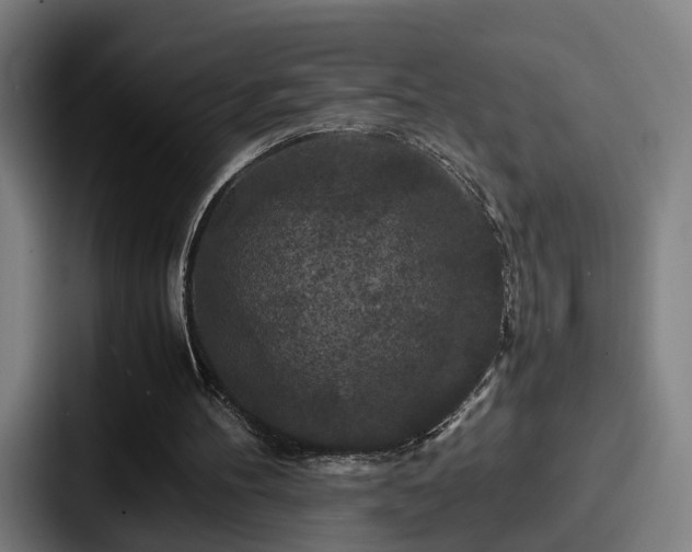 X0000087710100200705111428