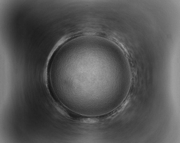 X0000087710102200705111428