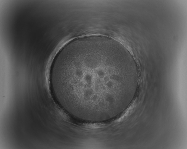 X0000087710103200705111428