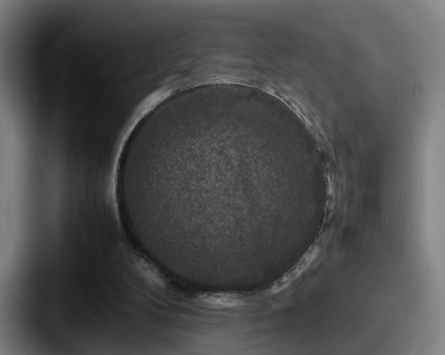 X0000087710104200705111428