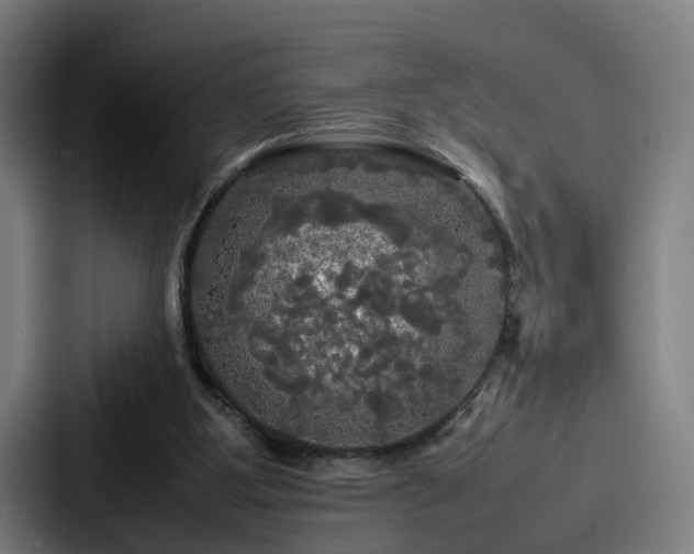 X0000087710107200705111428