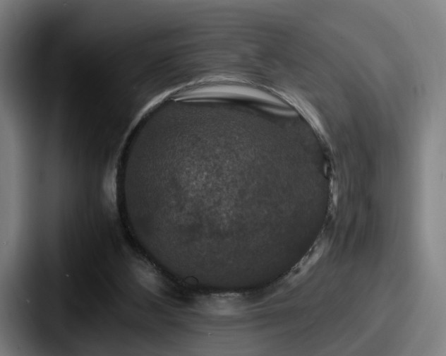 X0000087710108200705111428