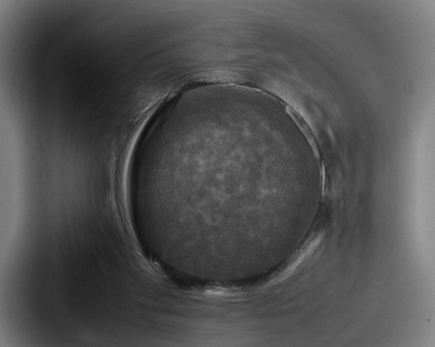 X0000087710109200705111428