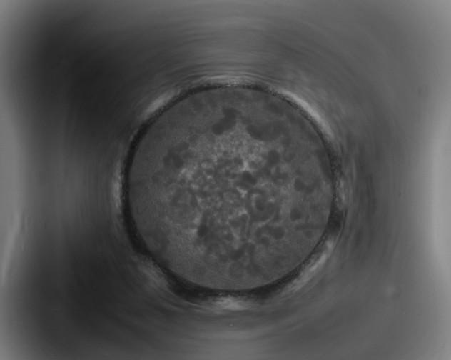 X0000087710111200705111428