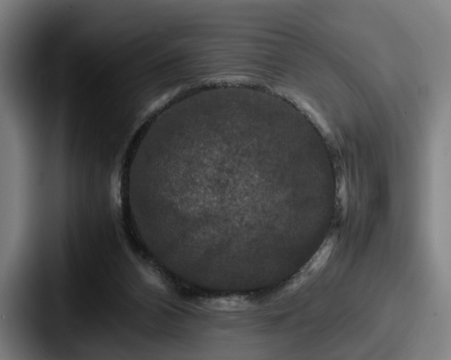 X0000087710112200705111428