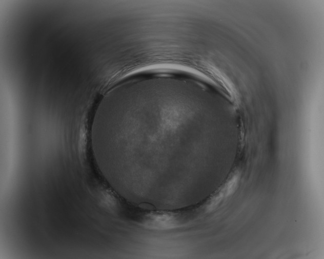X0000087710113200705111428
