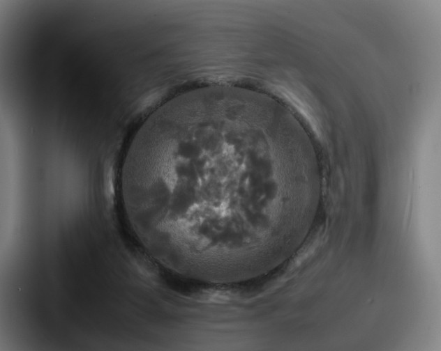 X0000087710115200705111428