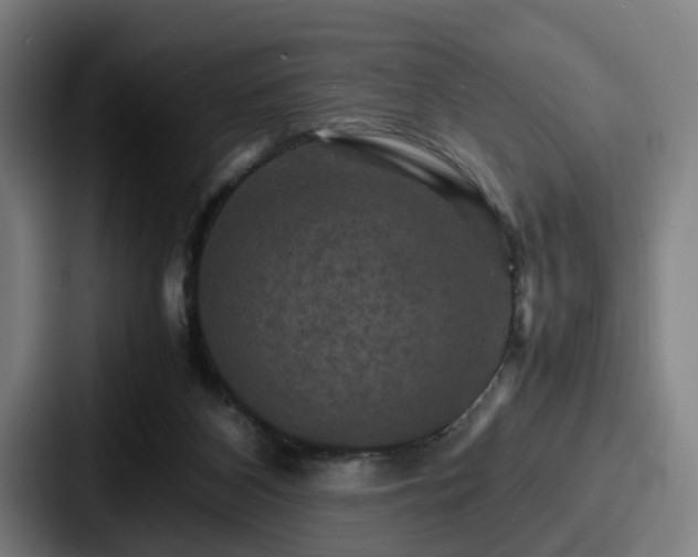 X0000087710116200705111428