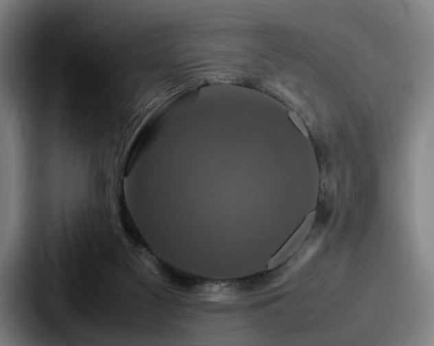 X0000087710117200705111428