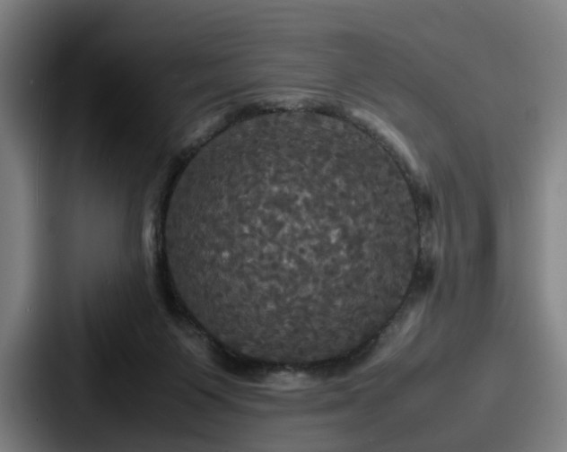 X0000087710119200705111428