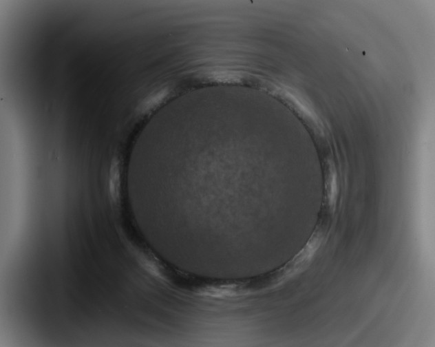 X0000087710120200705111428