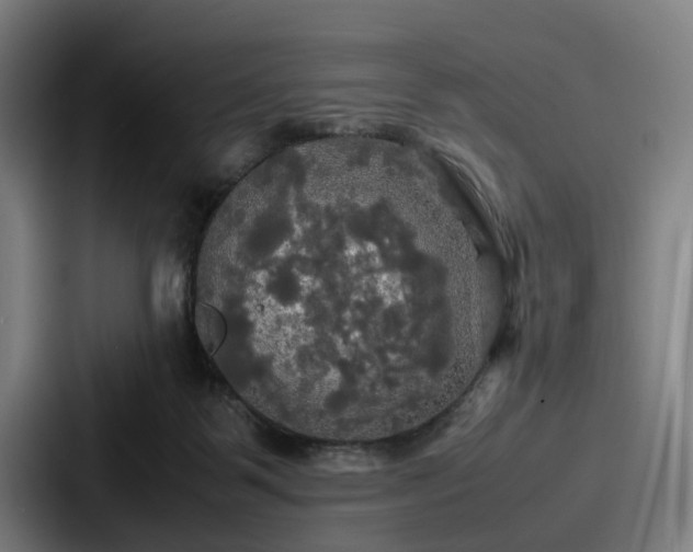 X0000087710123200705111428