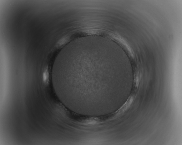 X0000087710124200705111428