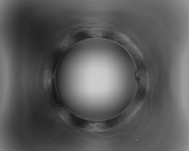 X0000087710125200705111428