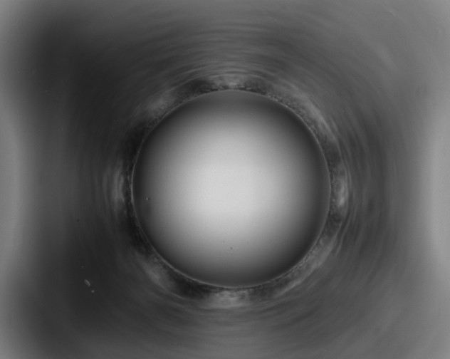 X0000087710126200705111428