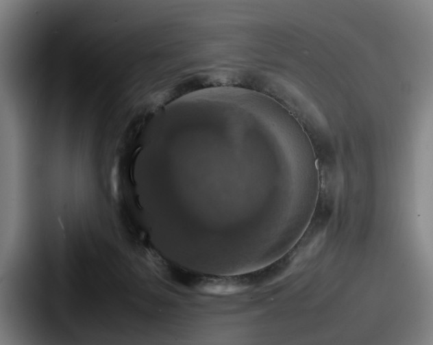 X0000087710127200705111428