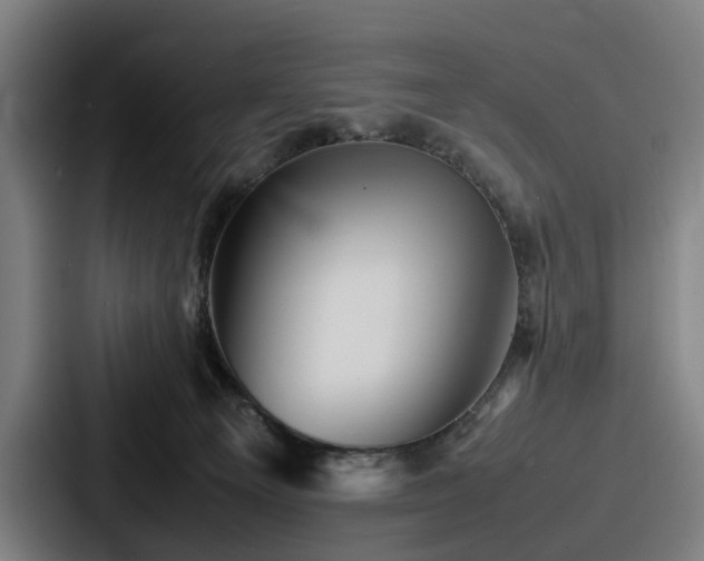 X0000087710129200705111428