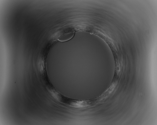 X0000087710130200705111428