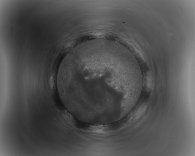 X0000087710131200705111428