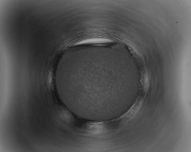X0000087710132200705111428