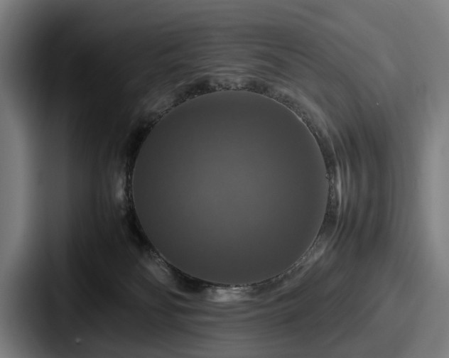 X0000087710134200705111428