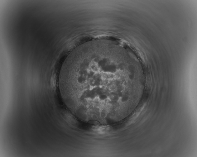 X0000087710135200705111428