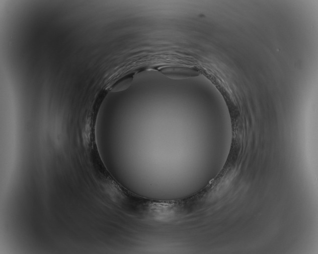 X0000087710139200705111428