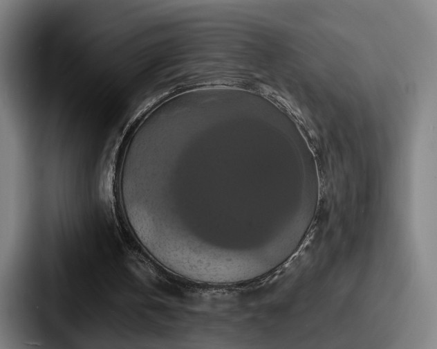 X0000087710146200705111427