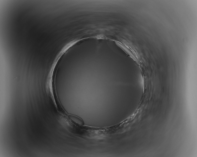 X0000087710147200705111427