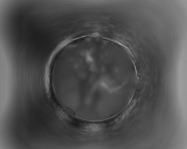 X0000087710149200705111427