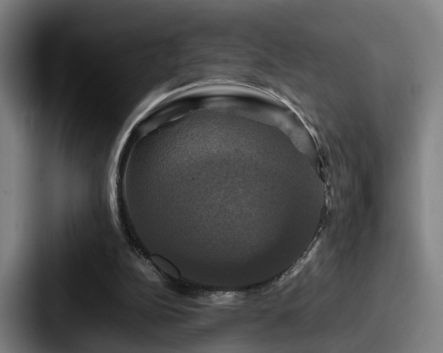 X0000087710152200705111427