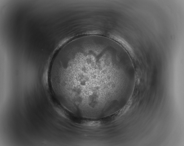X0000087710155200705111427