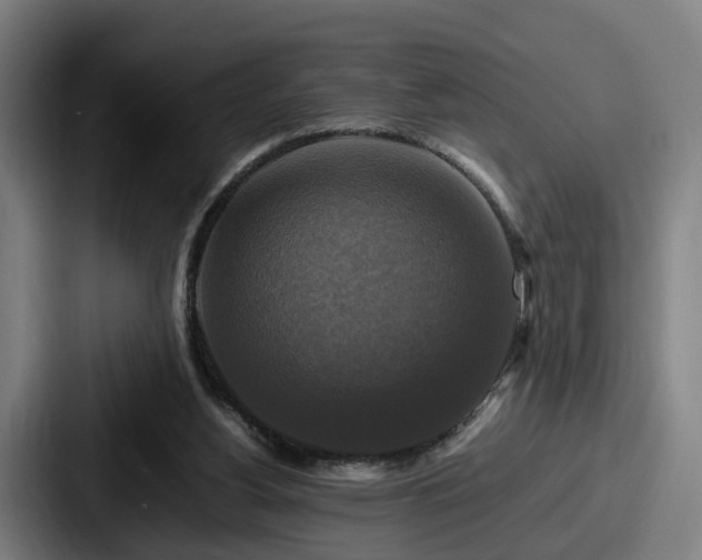 X0000087710156200705111427