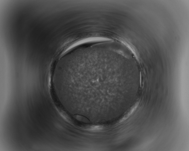 X0000087710157200705111427