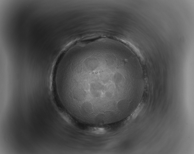 X0000087710159200705111427