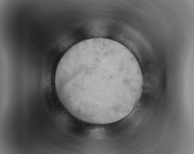 X0000087710162200705111427