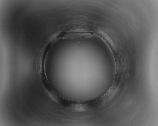 X0000087710163200705111427