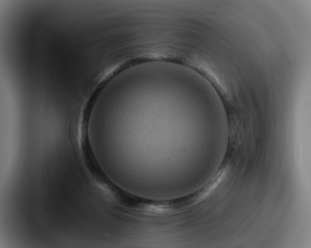 X0000087710164200705111427