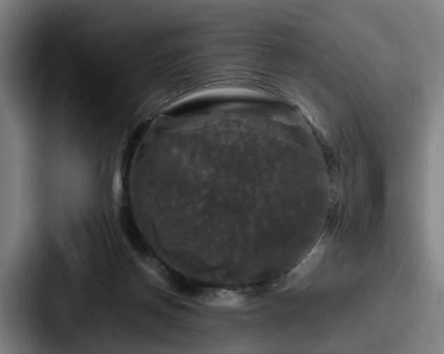 X0000087710166200705111427