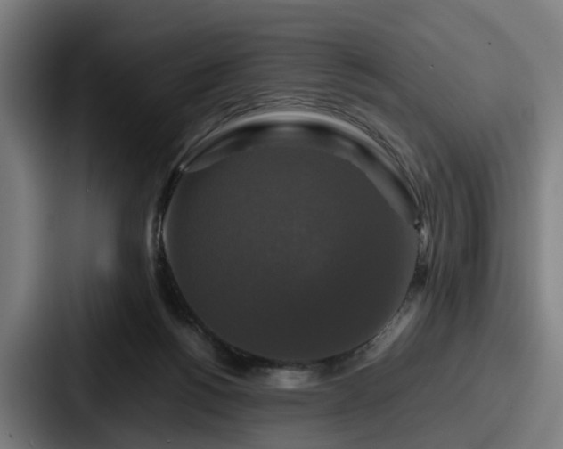 X0000087710168200705111427